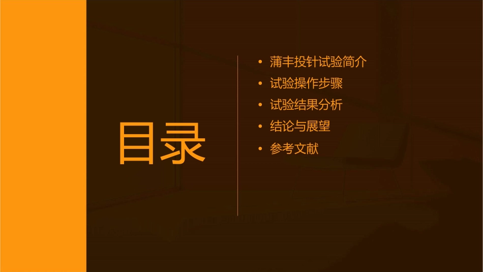 蒲丰投针试验讲解课件_第2页