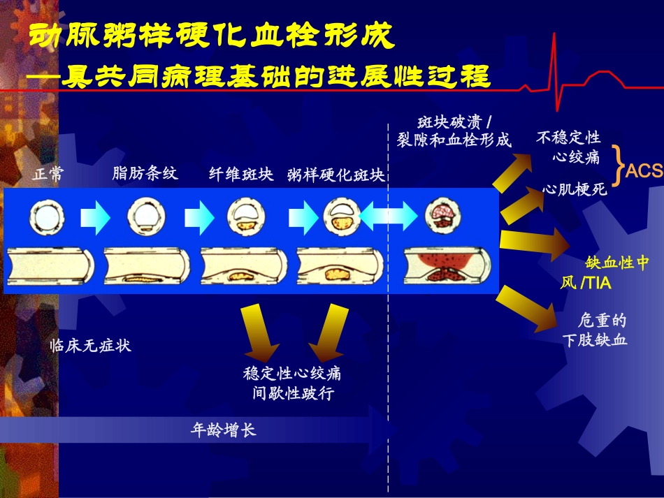抗血小板药和抗凝药_第3页