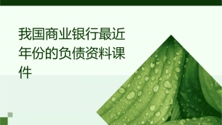 我国商业银行最近年份的负债资料课件