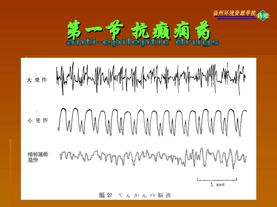 抗癫痫药与抗惊厥药_第3页