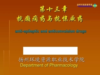 抗癫痫药与抗惊厥药