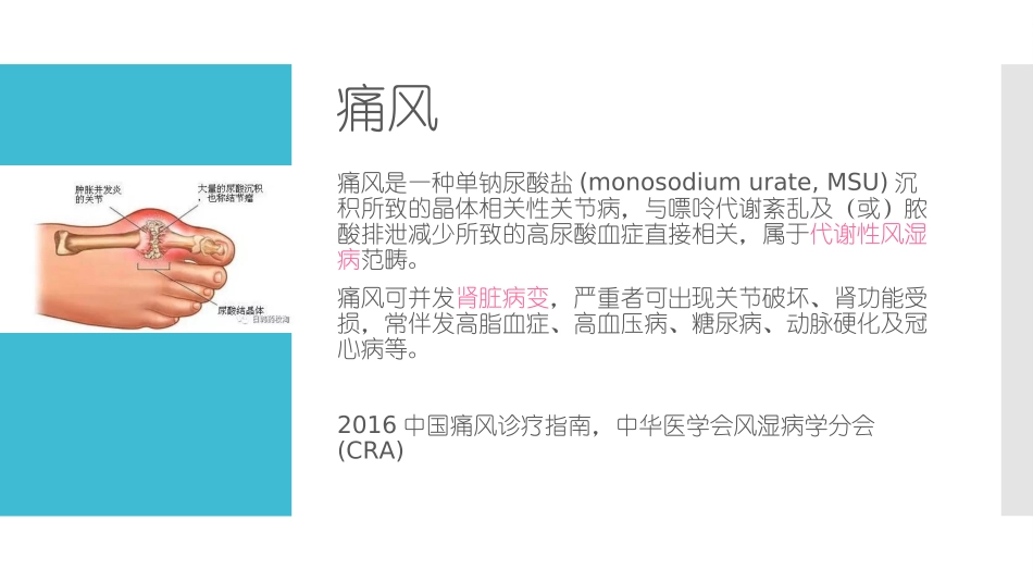 抗痛风新药——非布司他_第3页