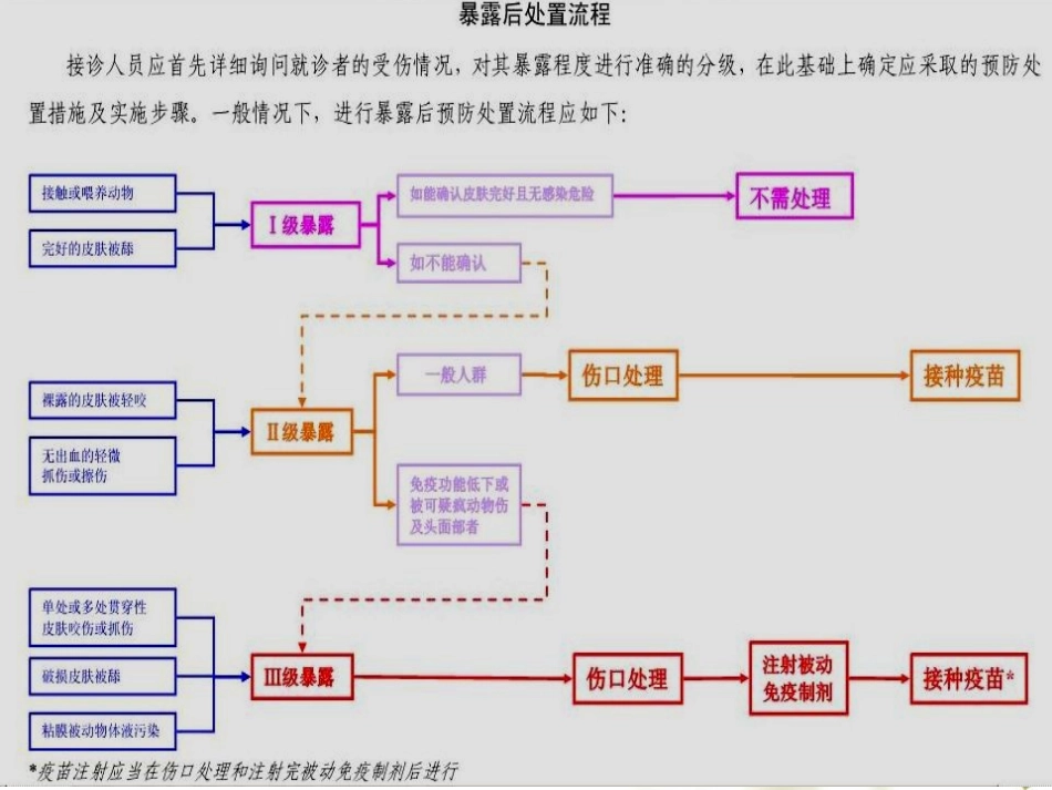 抗狂犬病血清操作要点_第2页