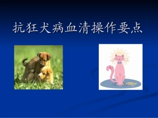 抗狂犬病血清操作要点