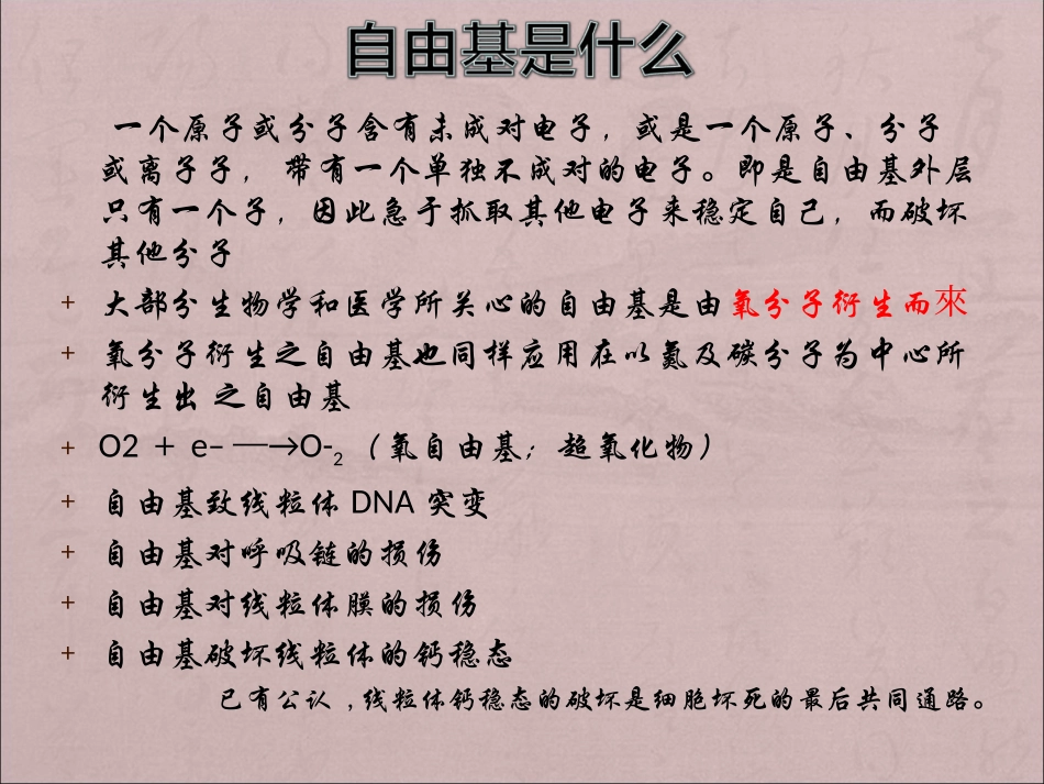 抗氧化药药理要点_第3页
