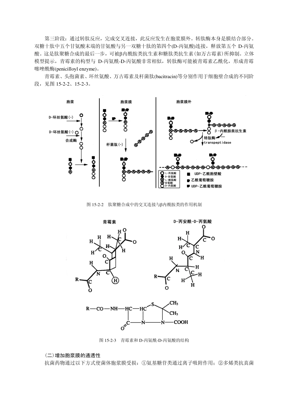 抗感染药介绍_第3页
