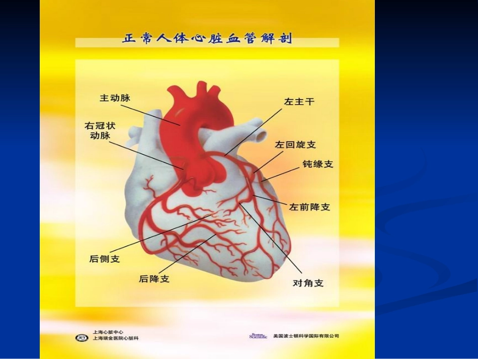 抗心绞痛药-13-9-24_第2页