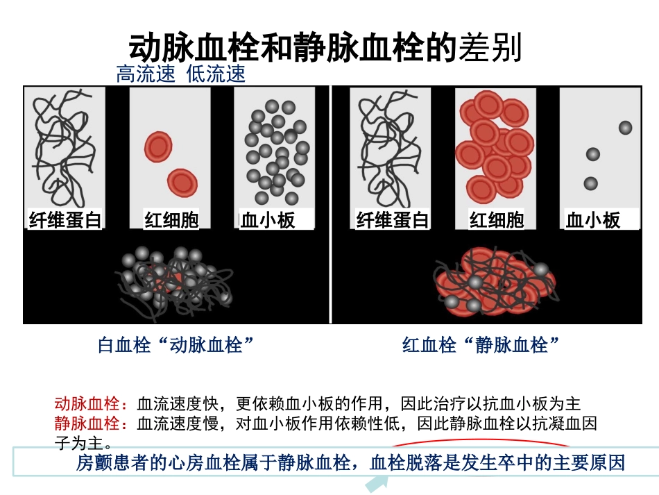 抗凝药的基础及应用2_第3页