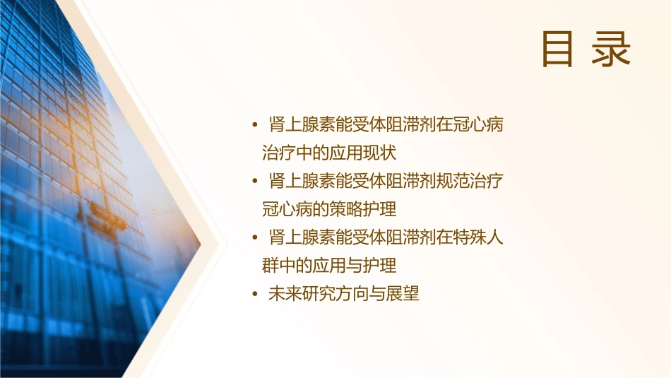 应用肾上腺素能受体阻滞剂规范治疗冠心病的专家共识之临床使用现状及策略护理课件_第2页