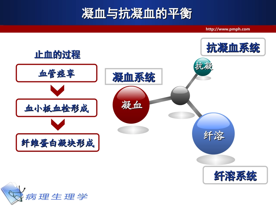 抗凝凝血纤溶_第2页
