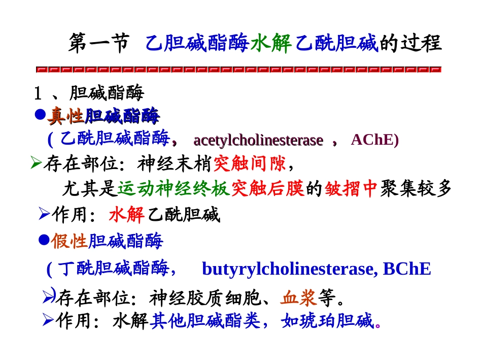 抗AChE药及胆碱受体阻断药_第2页