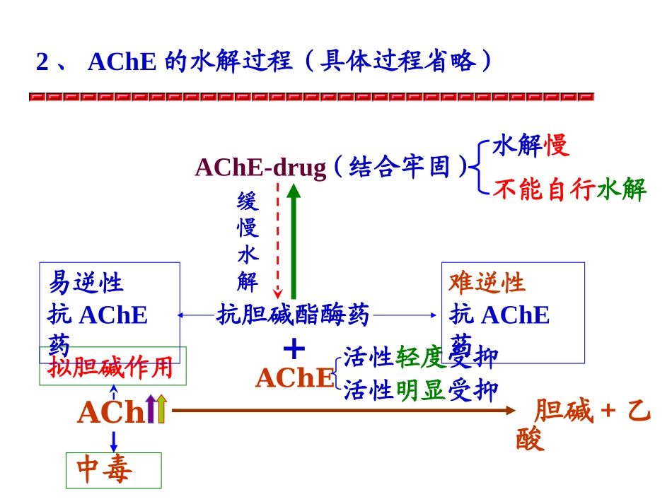 抗AChE药及胆碱受体阻断药_第3页