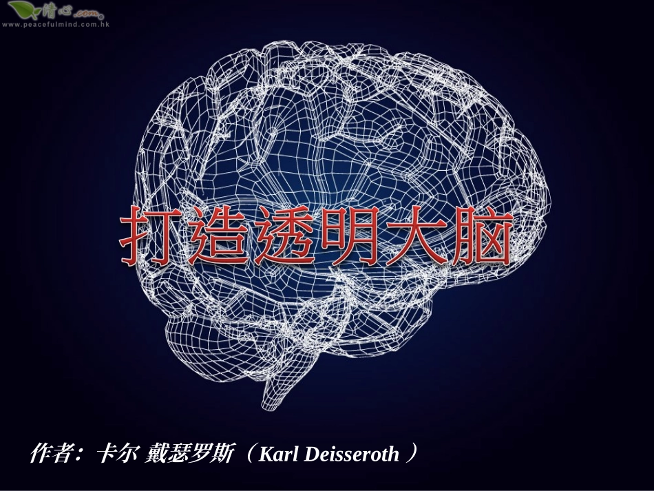 打造透明大脑_第1页