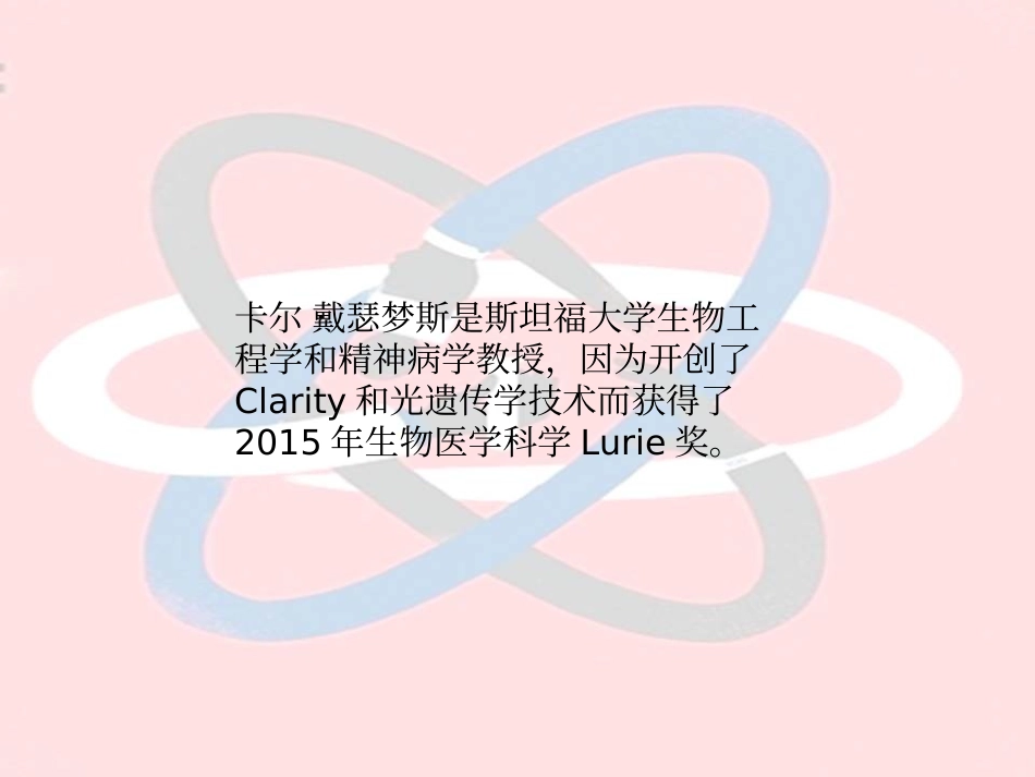 打造透明大脑_第2页