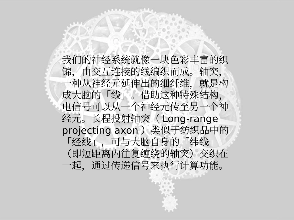 打造透明大脑_第3页