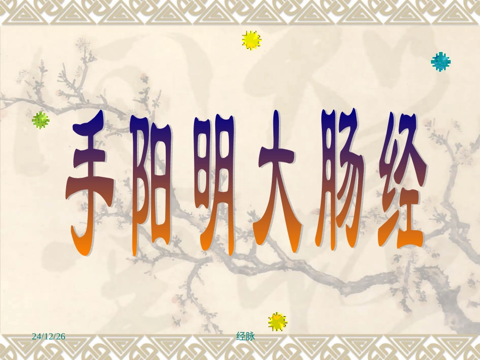 手阳明大肠经4概述_第1页