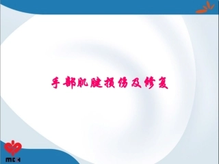 手部肌腱损伤及修复