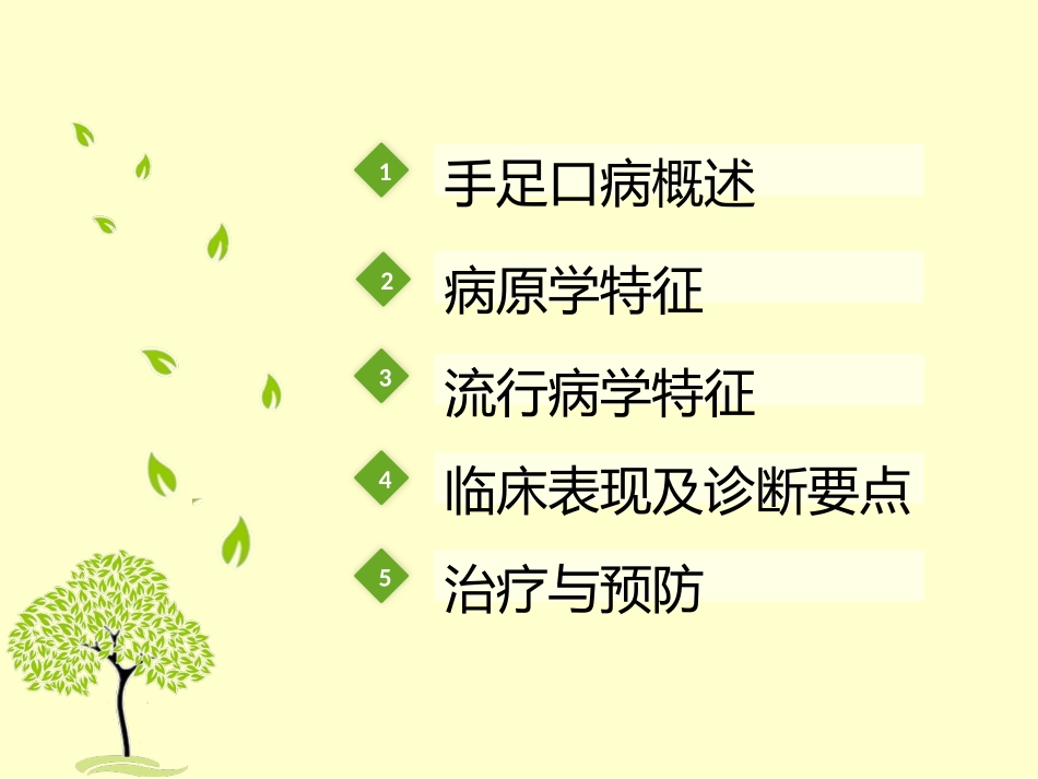 手足口病防治_第2页