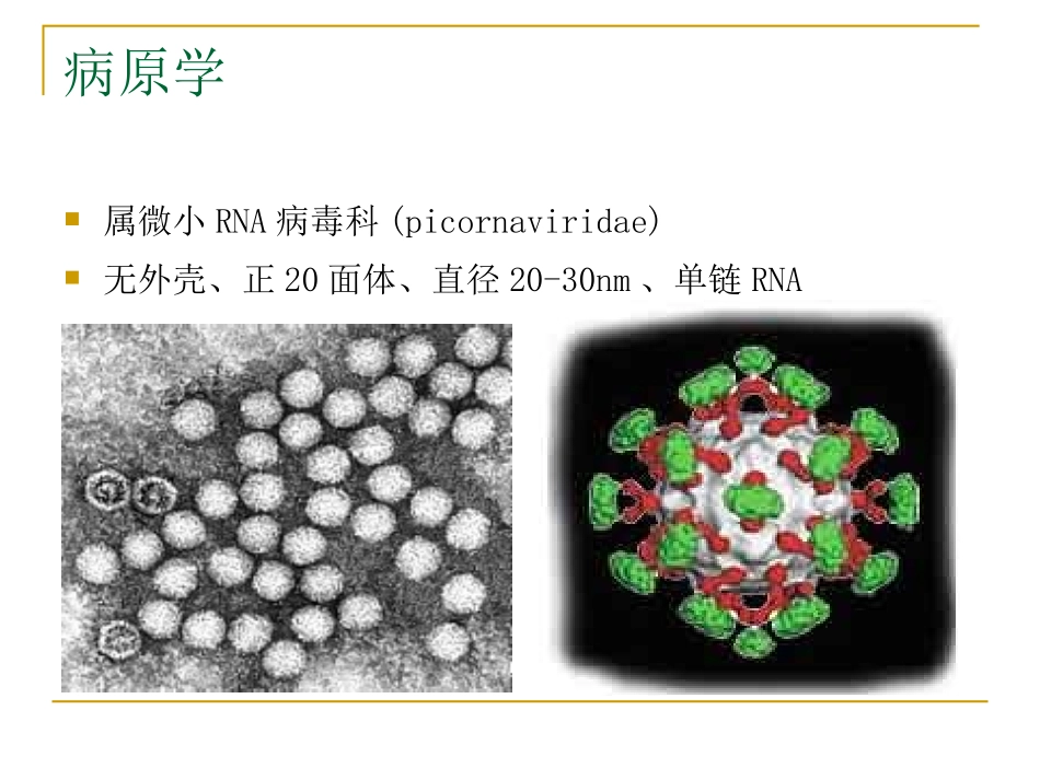 手足口病(1)_第3页