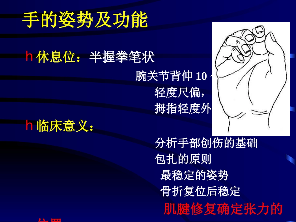 手外伤诊治与康复1_第2页