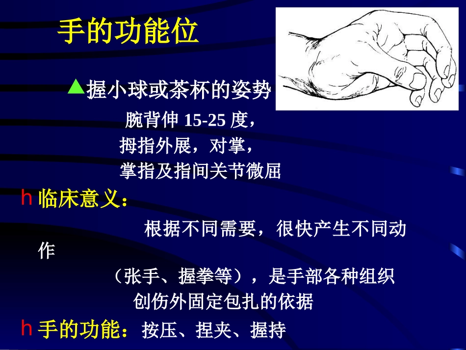 手外伤诊治与康复1_第3页