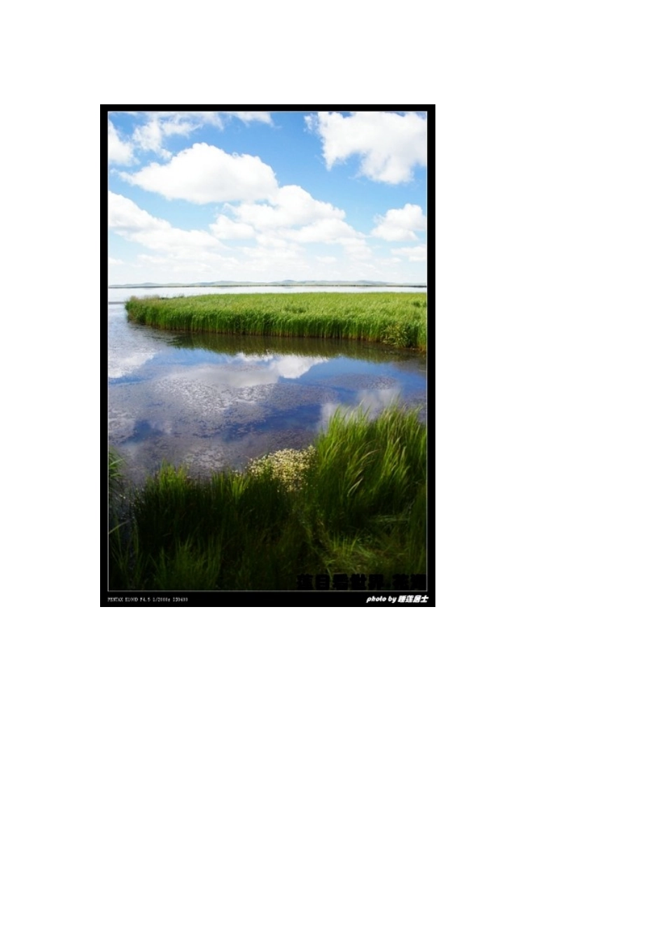 我把我的心交给了你_第3页