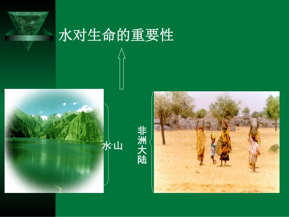 成熟中央液泡2成熟的植物细胞渗透作用吸收水分渗透作用吸水吸_第2页