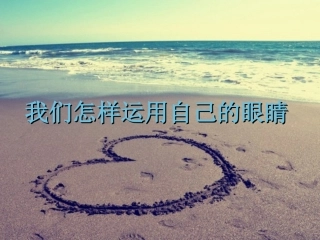 我们怎样运用自己的眼睛-PPT..