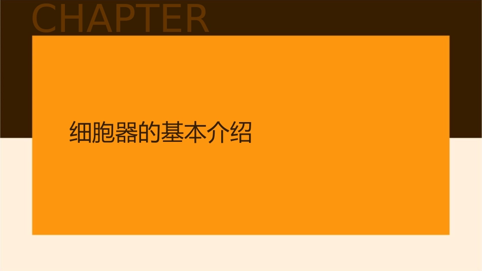 系统内的分工合作——细胞器课件_第3页
