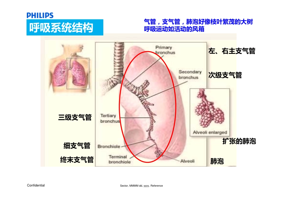慢阻肺神经肌肉疾病基础_第3页