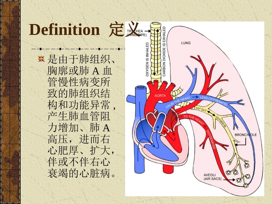慢性肺原性心脏病_第2页