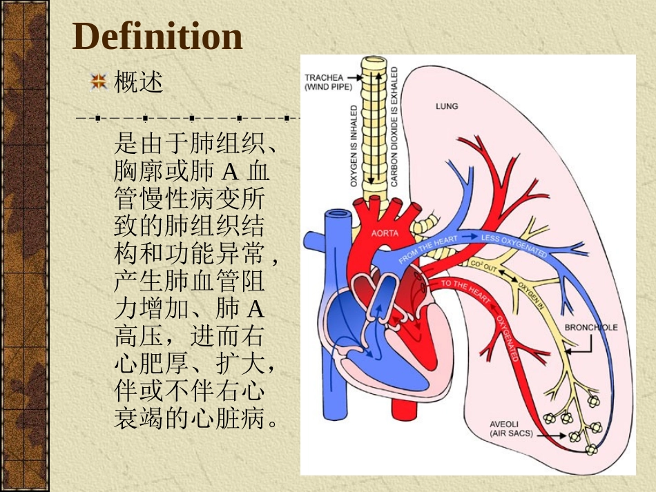 慢性肺源性心脏病_第2页