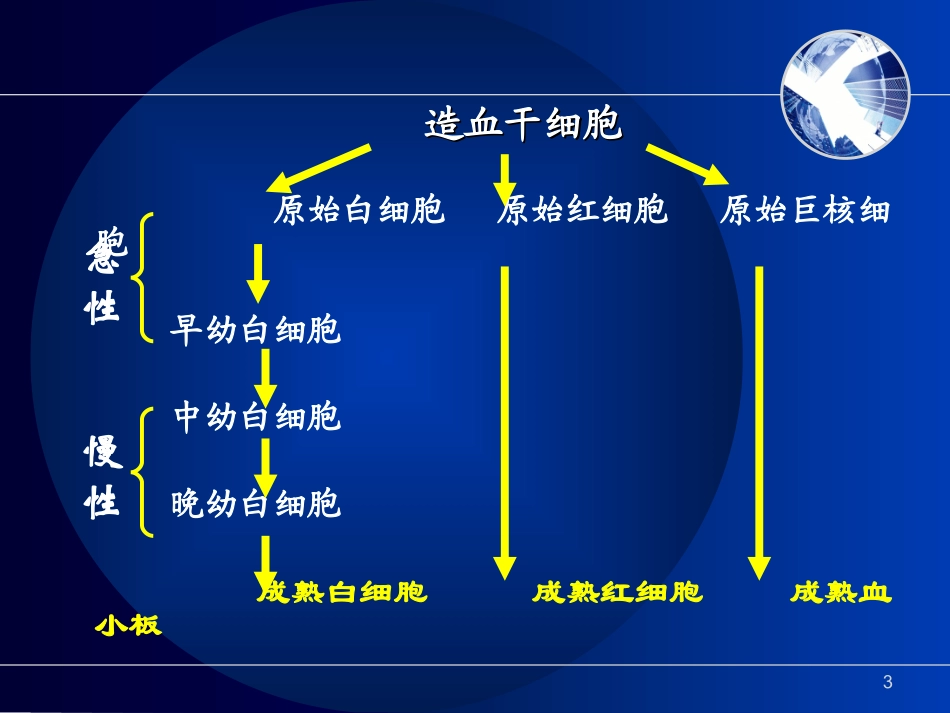 慢性淋巴细胞白血病_第3页