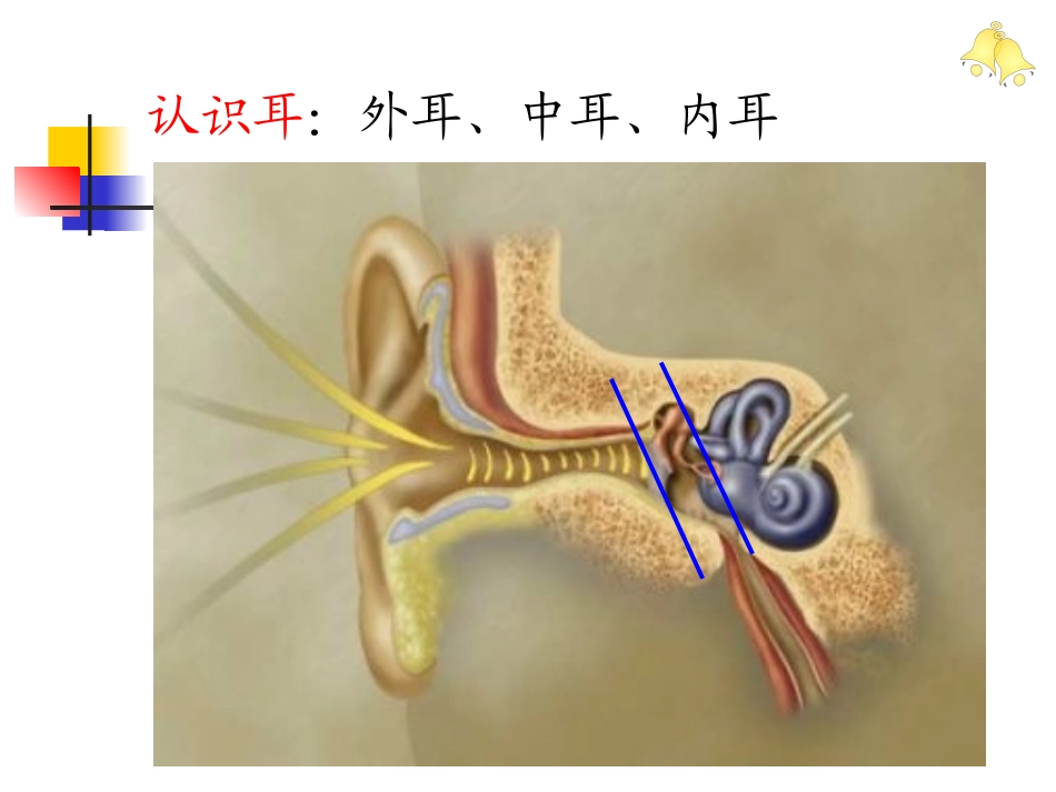 慢性中耳病变诊治策略_第2页