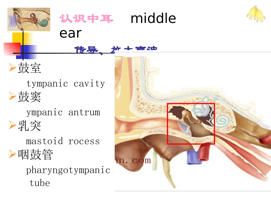 慢性中耳病变诊治策略_第3页