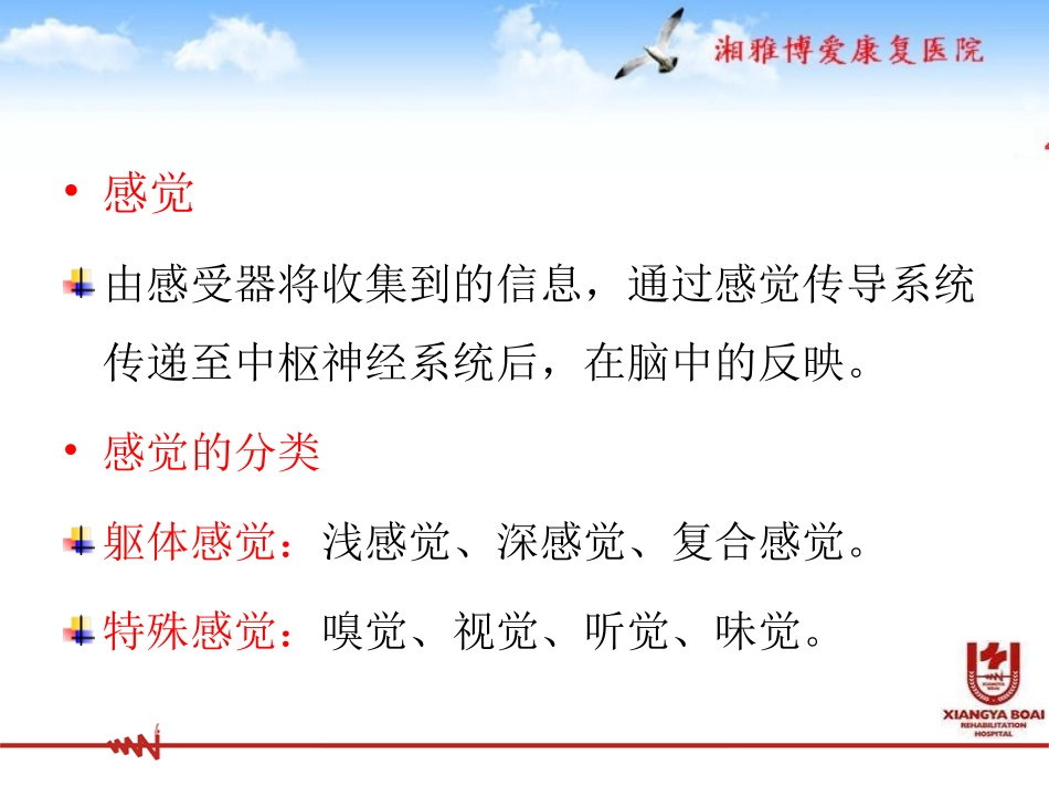 感觉与知觉障碍和运动的关系._第2页