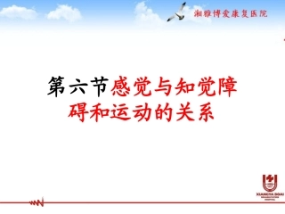 感觉与知觉障碍和运动的关系.