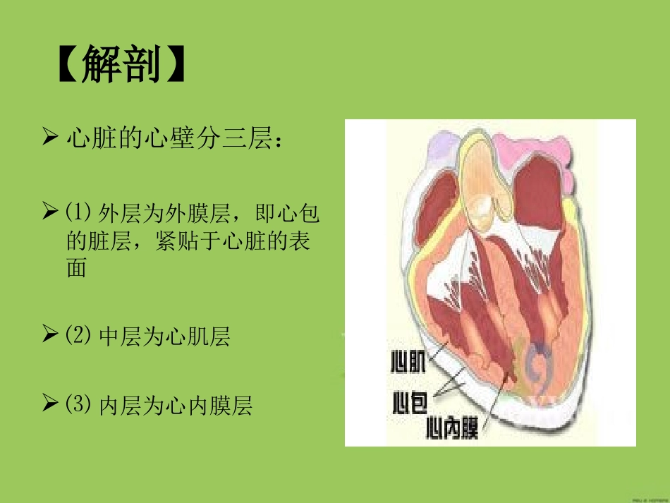 感染性心内膜炎----赖柳兰_第2页