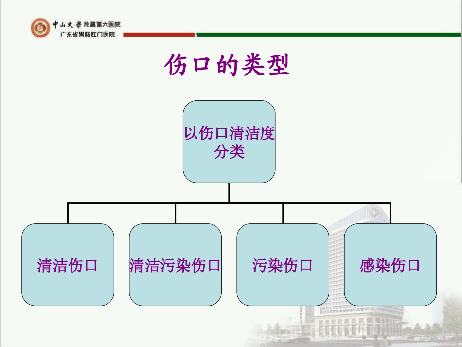 感染创面的处理及个案分析.ppt_第3页