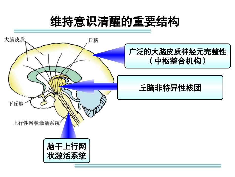 意识障碍的概念及诊疗思路剖析_第2页