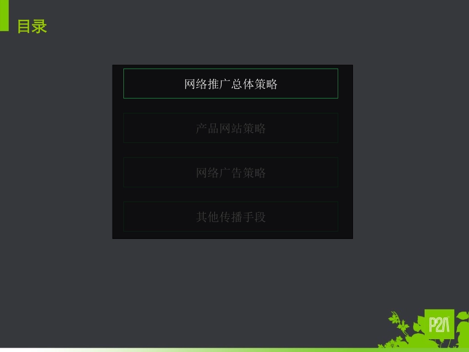 惠菲宁网络推广策略_第2页