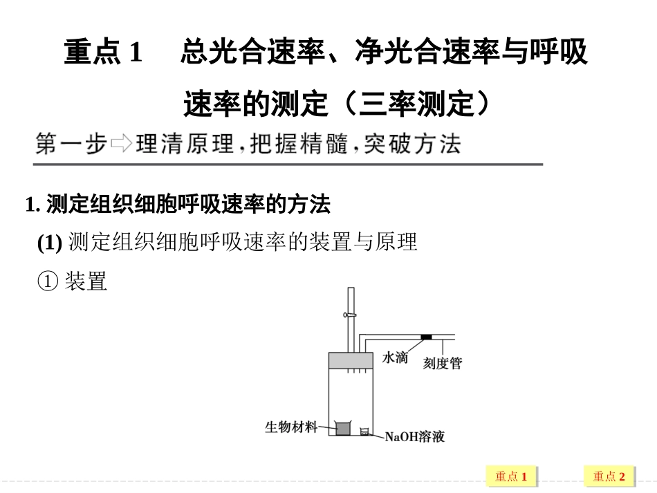 总光合速率、净光合速率与呼吸速率的辨析_第2页
