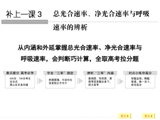总光合速率、净光合速率与呼吸速率的辨析