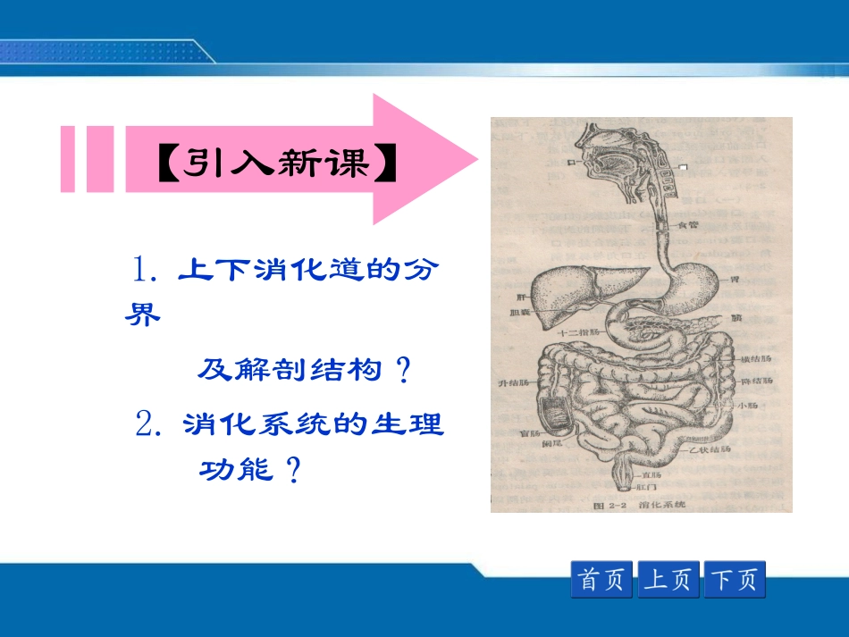恶心、呕吐、呕血、黑粪、便血_第2页