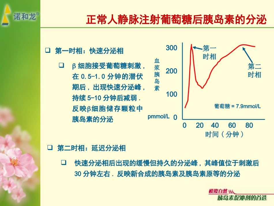 恢复生理性胰岛素分泌_第3页