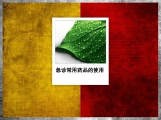 急诊常用药品的使用