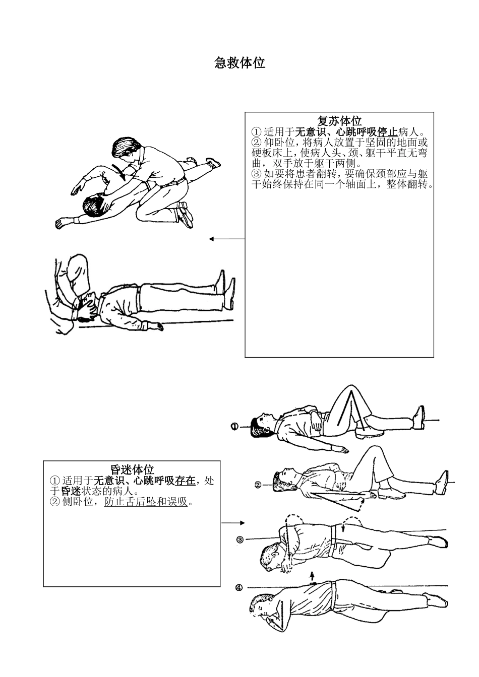急救流程相关知识_第3页