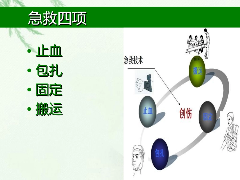 急救四项之止血和包扎_第3页