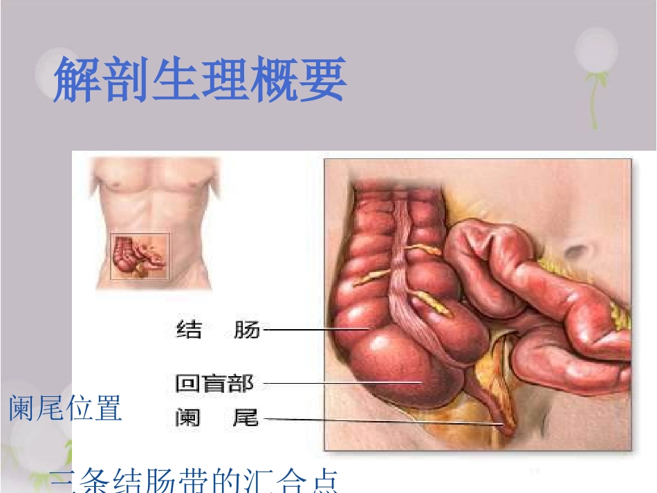 急性阑尾炎.PPT.ppt_第3页