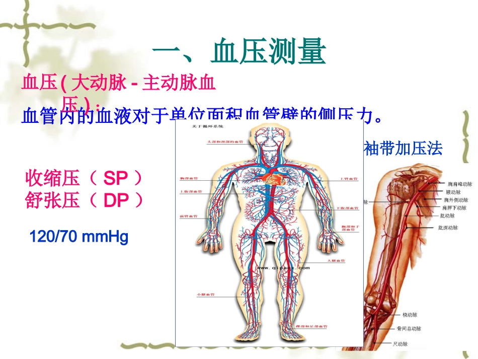 急救-血压测量、AED、异物处理模板_第2页